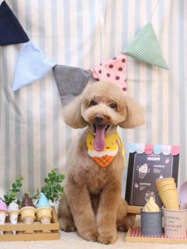 20250513レオくん